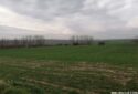 SİLİVRİDE SATILIK TARLA 5700M²