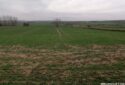 SİLİVRİDE SATILIK TARLA 5700M²