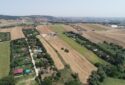 KESTANELİKTE SATILIK TARLA 15000MT