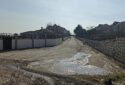 KESTANELİKTE SATILIK TARLA 15000MT